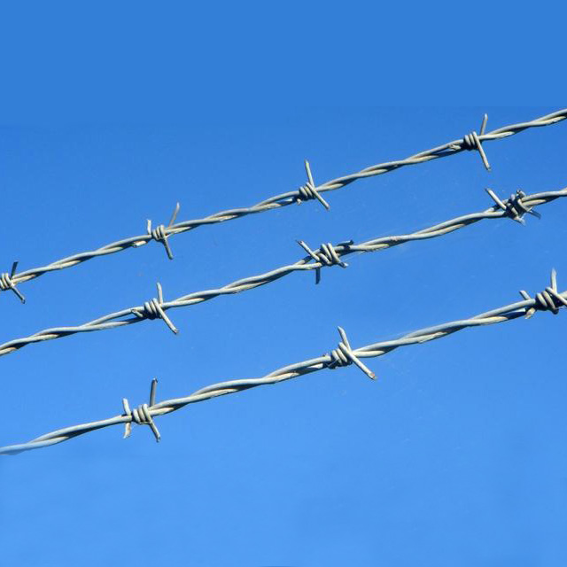 Barbed Wire Barbed Wire