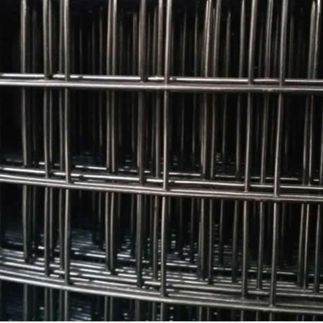 Black Welded Wire Mesh