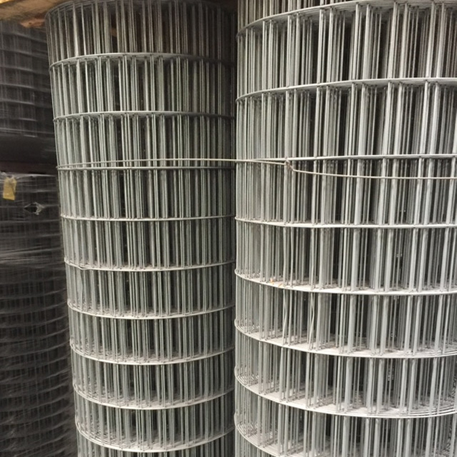 Galvanized Welded Wire Mesh
