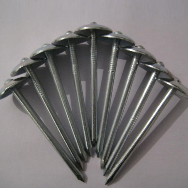 Roofing Nails